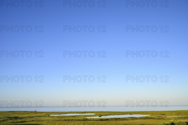 Clear blue sky over extensive moorland with shallow moor lakes on the coast of the Barents Sea on the Varanger Peninsula with small water areas, Kiberg, Finnmark, Norway