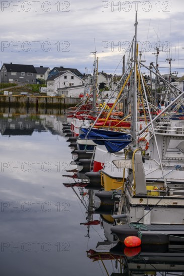 Fishing boats Fishing vessels are moored in Berlevag harbour in the north of the Varanger Peninsula with colorful buildings in the background, Berlevåg, Finnmark, Norway