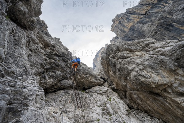Mountaineer climbing a ladder, Via Ferrata SOSAT via ferrata, Brenta Mountains, Trentino, Italy