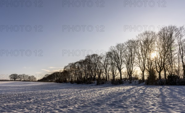 Winter landscape, fields and fields in Berlin Lübars, a village in Berlin Reinickendorf, Germany