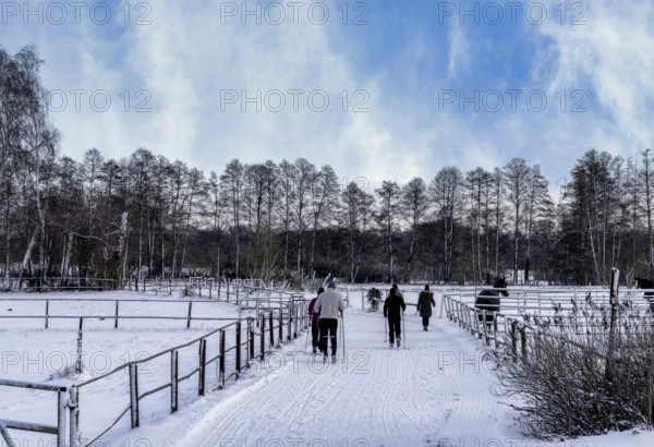Athletes in winter in the midst of fields and fields in Berlin Lübars, Reinickendorf District, Germany