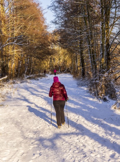 Fresh snow in the city, hikers in winter in the middle of the fields in Berlin Lübars, a district of Berlin's Reinckendorf district, Germany