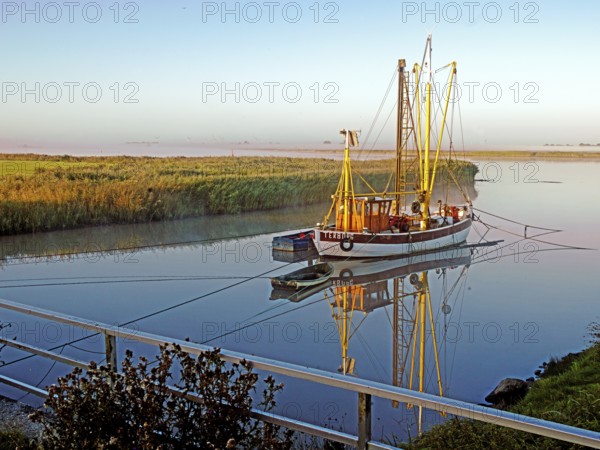 Emsfischereiboot, cutter, Diana, river, Ems, dammed up, flood, morning light, Terborg, East Frisia, Germany