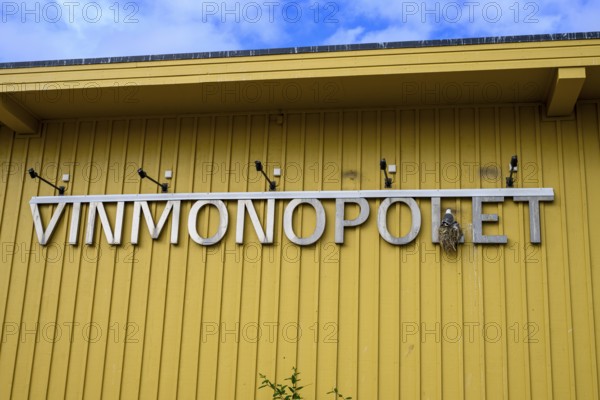 Yellow building of the Norwegian state wine monopoly with sign and floodlights and a breeding kittiwake (Rissa tridactyla) in the sign, blue sky, Båtsfjord, Finnmark, Norway