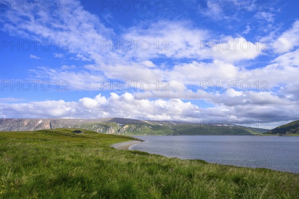 Green meadows on the banks of Syltefjord with clouds in the blue sky, landscape with a lake and green meadows under a cloudy sky, Nordfjord, Båtsfjord, Finnmark, Norway