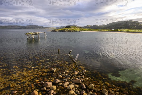 Ruins of a wooden walkway in a calm lake off a wooded island, Veidnes, Kongsfjord, Finnmark, Norway