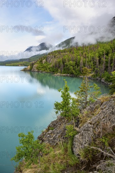 On the shores of turquoise Kenai Lake, Cooper Landing, Kenai Peninsula, Alaska, USA