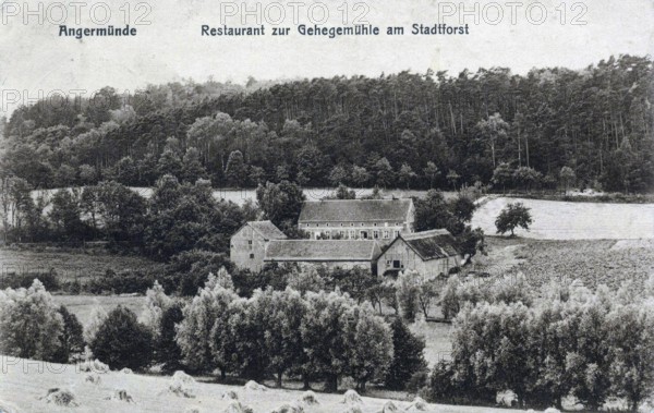 Angermünde, restaurant am Stadtforst, district of Uckermark in the state of Brandenburg, Germany, postcard, view around 1900 - 1910, historical, digital reproduction of a historical postcard, authentic, public domain, from that time, exact date unknown