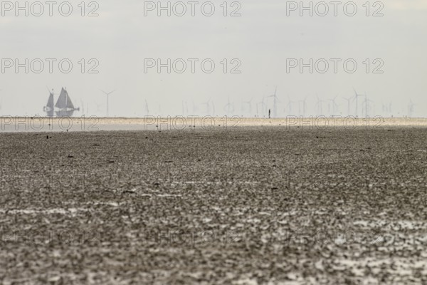 A sailing ship sails in the distance, while wind turbines in the quiet coastal landscape can be seen in the background the Wadden Sea at low tide, Oosterend, Noord-Holland, the Netherlands