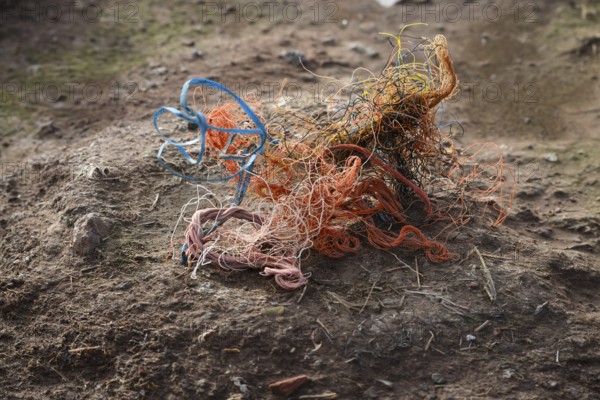 An abandoned nest of a gannet (Sula bassana) made of different materials with a lot of plastic waste from old fishing nets in an earthy environment, Helgoland, Schleswig-Holstein, Germany