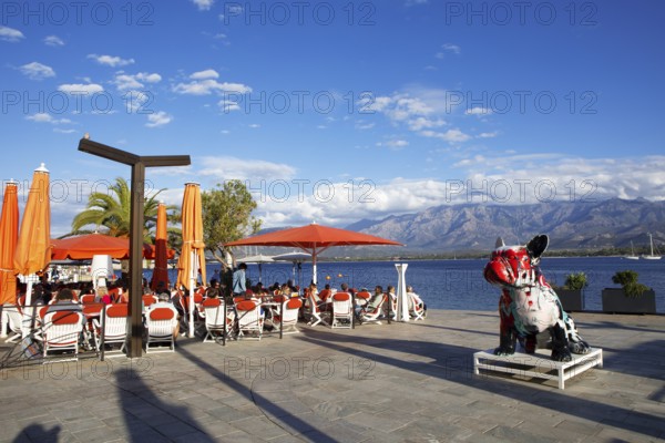 Restaurant at the marina in Calvi, with the mountains of the Balagne region in the Haute-Corse department, Corsica, France