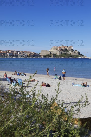 Calvi beach, back the citadel, Balagne, Haute-Corse department, Corsica, France