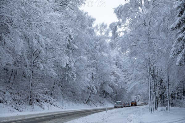 Cars driving through snowy landscape, trees, winter, snow, Sieversen, Samtgemeinde Rosengarten, Lower Saxony, Germany