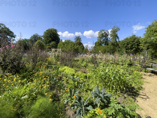 A path along the colorful cottage garden of the famous botanist and taxonomist Carl von Linne with a rustic wooden fence under a blue sky, Linnes Rashult, Rashult, Diö, Kronobergs län, Sweden