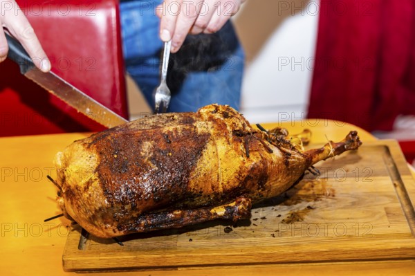 Grilled Christmas goose is expertly carved. Münsingen, Baden-Württemberg, Germany