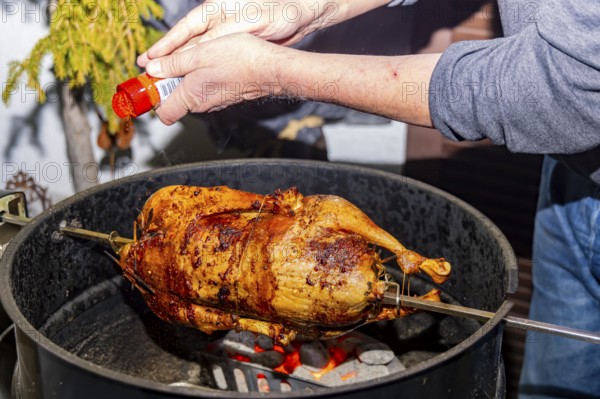 Christmas goose is grilled on a kettle grill. Münsingen, Baden-Württemberg, Germany