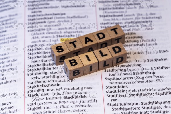 Possible unword of the year? Show wooden cubes on a duden show the word CITYSCAPE