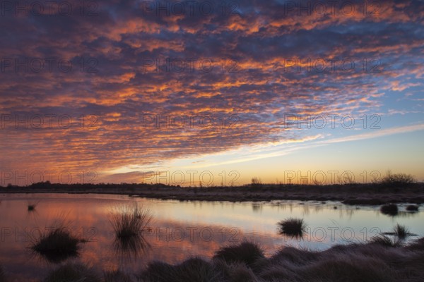 Sunrise in winter moor, Goldenstedt, Lower Saxony, Germany