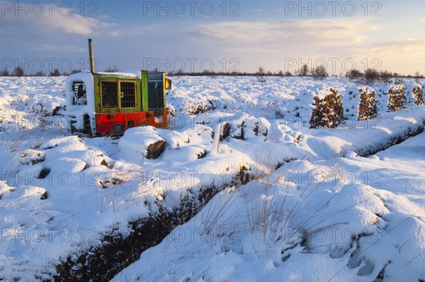 Winter in the moor, Goldenstedt, Lower Saxony, Germany