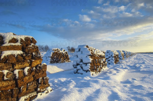 Peat cut in sod in a wintry moor, Goldenstedt, Lower Saxony, Germany