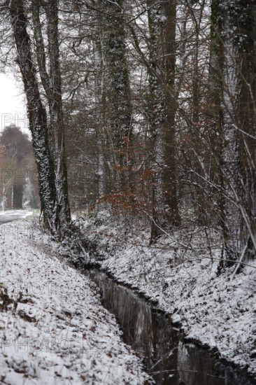 Landscape, winter, stream, water, reflection, trees, snow, road, North Rhine-Westphalia, Germany