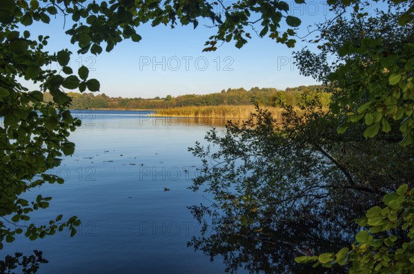 Shore of Schaalsee, Zarrentin, Mecklenburg-Western Pomerania, Germany