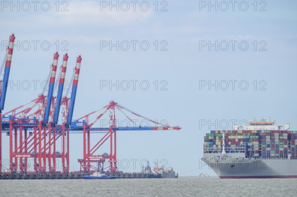 The container ship OOCL Germany with 59 m width and 400 m length of one of the largest container ships in the world maneuvers between cranes container bridges in Jade Weser Port, Wilhelmshafen, Jade Bay, Lower Saxony, Germany
