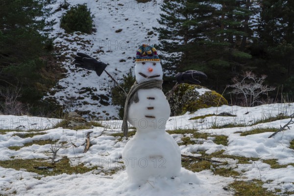 Snowman standing on a partially snow covered hillside, wearing a colorful knitted hat, grey scarf, and gloves as arms, with evergreen trees and patches of green grass in the background