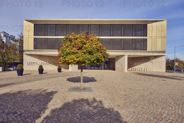 Ludwig-Bölkow-Haus, Chamber of Industry and Commerce, IHK, Bürgschaftsbank Mecklenburg-Vorpommern GmbH, commercial building, modern architecture, square of paving stones, planter with common boxwood (Buxus sempervirens), tree, autumn leaves, Norway maple (Acer platanoides), shadow of a tree, blue sky, cirrostratus clouds, Graf-Schack-Allee, Schwerin, state capital, independent city, Mecklenburg-Vorpommern, Germany