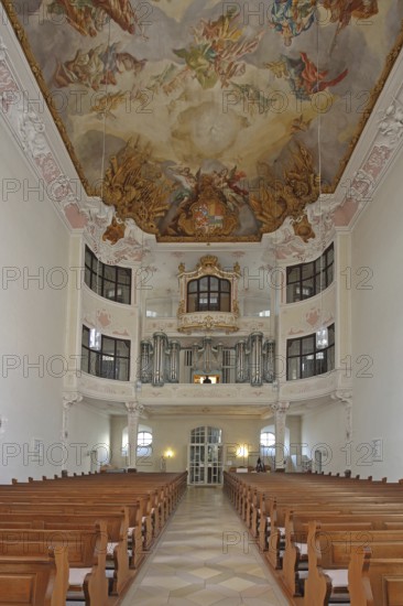 Organ and baroque ceiling fresco by Johann Nikolaus Stuber, interior photo, ceiling painting, handicrafts, castle church, Teutonic Order Palace, Bad Mergentheim, Tauber Franconia, Franconia, Baden-Württemberg, Germany
