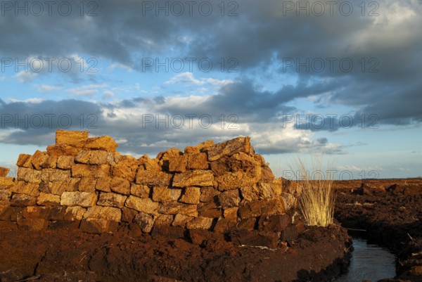 Peat mining in Goldenstedter Moor, Goldenstedt, Lower Saxony, Germany