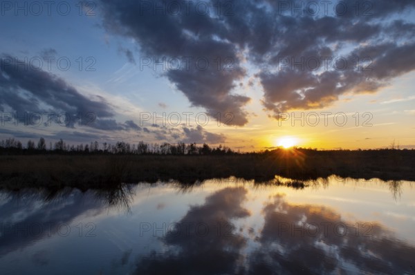 Sunset in Rehdener Geestmoor, Rehden, Lower Saxony, Germany