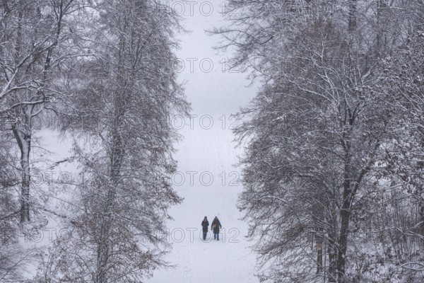 Walkers walk through the snow-covered Tiergarten in Berlin on 03.01.2026