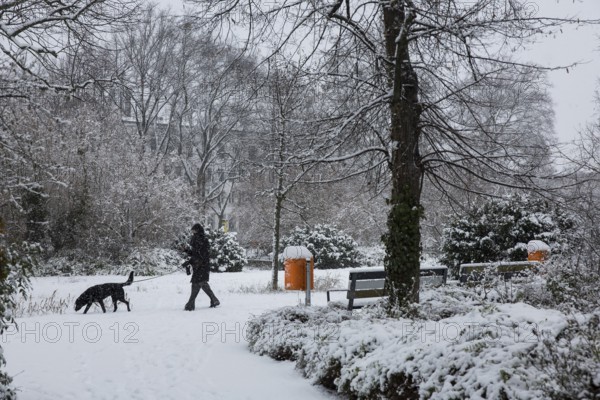 A walker with a dog runs through the small zoo on 03.01.2026
