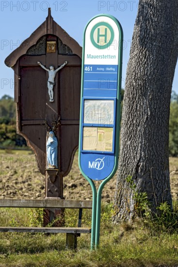 MVV bus stop at a traditional field cross, wayside cross, bench and oak (Quercus) in a field, wasteland in the countryside, public transport, Anzing, Upper Bavaria, Bavaria, Germany