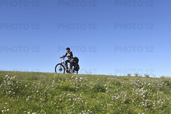 Woman riding a bicycle on a dike on the Darß peninsula, Mecklenburg-Western Pomerania, Germany