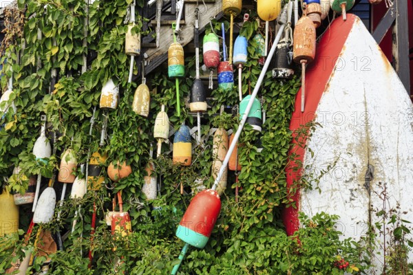 Colorful lobster buoys, boat, decoration, facade detail, seafood restaurant, lobster specialty, Perkins Cove, picturesque fishing village in Ogunquit, Maine, New England, USA