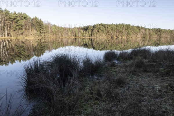 Former quarry lake, Emsland, Lower Saxony, Germany
