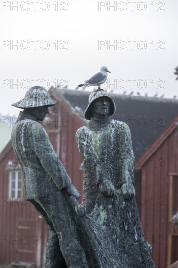 Kittiwakes (Rissa tridyctyla) sitting on fishermen's monument Opp av hav (Up from the sea), in front of the Pomor Museum, Vardø, Finnmark, Norway