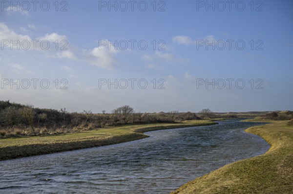 Wassergewinnung Amsterdamse Waterleidungsduinen, Zaandvoort, North Holland, Netherlands