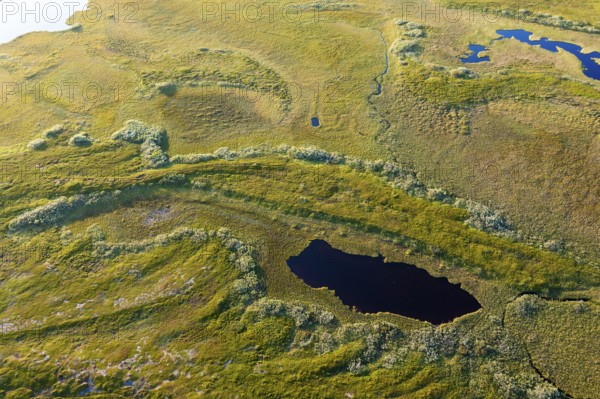Aerial view of a small pond surrounded by green moor and thick vegetation, Varanger Fjord, Barents Sea, Finnmark, Norway