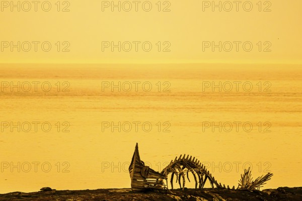 Drakkar Vardø sculpture. The Drakkar-Leviathan sculpture was built in summer 2016 by the Taibola Assemble team from Archangelsk Severodvinsk, Vardø, Finnmark, Norway