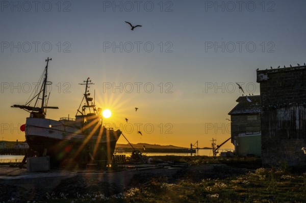 A fishing ship at sunset on the coast with flying birds and warm colors in the old port of Vardö, Vardø, Finnmark, Norway