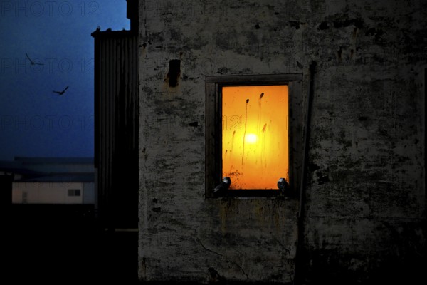 A window in a dark building through which an orange sunset shines, Vardø, Finnmark, Norway