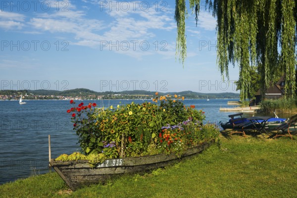 Waterfront, Niederzell, Reichenau Island, Lake Constance, Baden-Württemberg, Germany