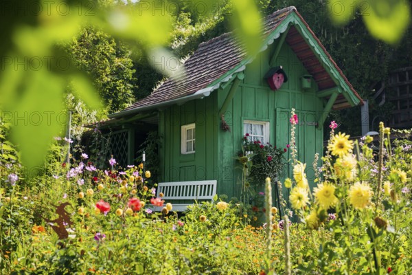 Green garden shed and summer flower garden, allotment garden, Meersburg, Lake Constance, Baden-Württemberg, Germany