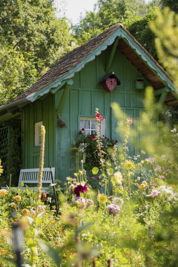 Green garden shed and summer flower garden, allotment garden, Meersburg, Lake Constance, Baden-Württemberg, Germany