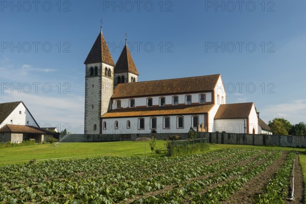 Collegiate Church of St. Peter and Paul and Gemüsefeld, Niederzell, UNESCO World Heritage Site, Reichenau Island, Lake Constance, Baden-Württemberg, Germany