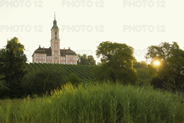Birnau pilgrimage church and vineyards, sunrise, Uhldingen-Mühlhofen, Lake Constance, Baden-Württemberg, Germany