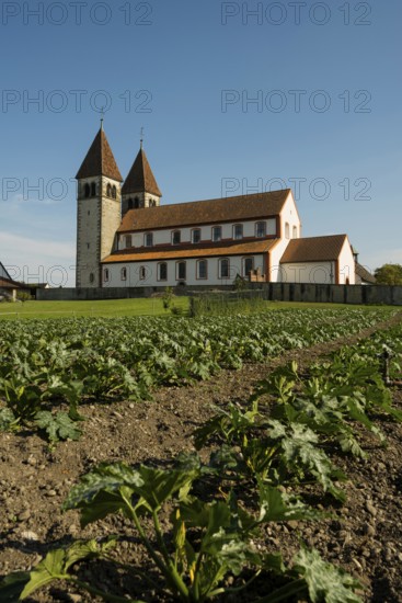 Collegiate Church of St. Peter and Paul and Gemüsefeld, Niederzell, UNESCO World Heritage Site, Reichenau Island, Lake Constance, Baden-Württemberg, Germany